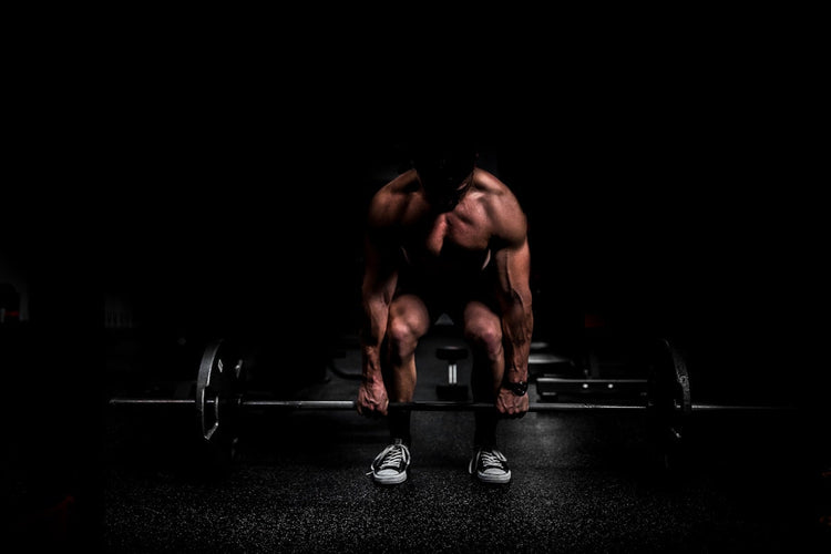 Digital home workout programs